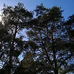Charming Pine View 公寓