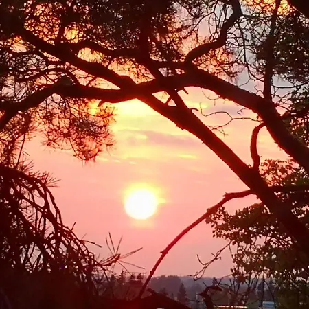 Charming Pine View Διαμέρισμα Βάνταα